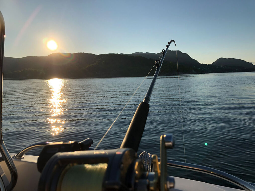 Fisking i Høgsfjorden